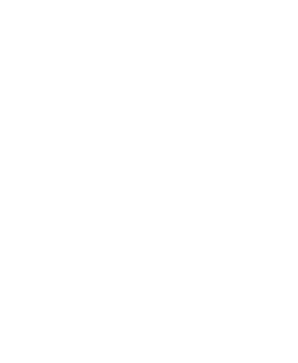 イントロタイトル